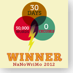 NaNoWriMo Winner